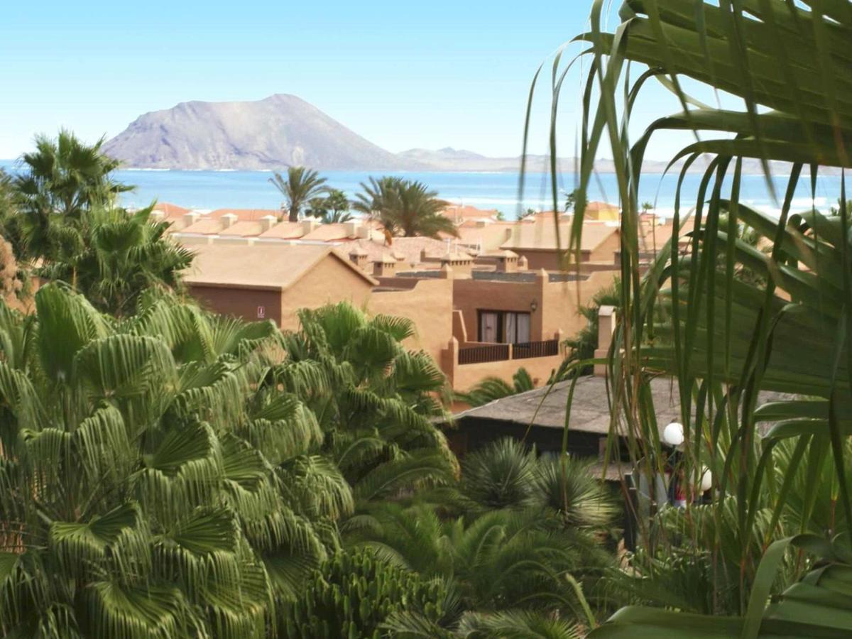 Family Apartment 1 Bedroom With Pool View - Oasis Duna Resort 科拉雷侯 外观 照片